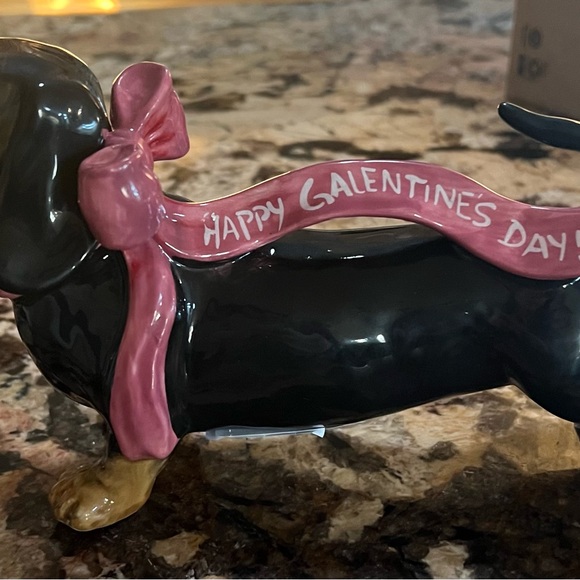 Blue Sky Doxie - Picture 2 of 4